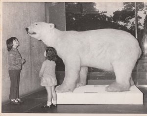two children pictured with Peter the Polar Bear at the Ulster Museum